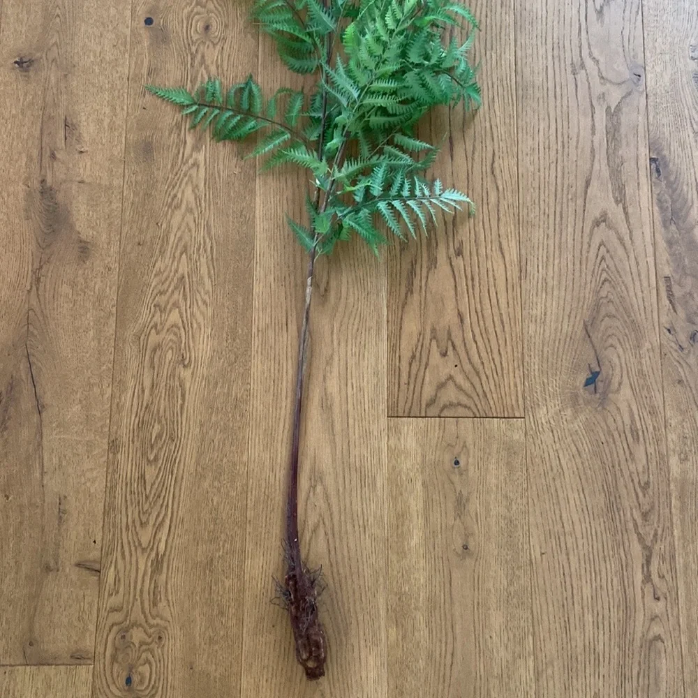 Faux Fern Stems